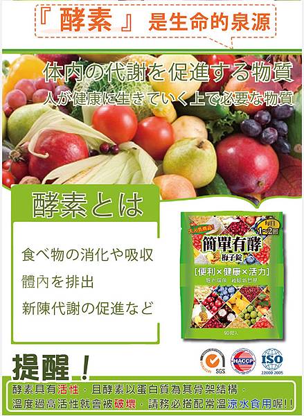 EDM08.jpg 試用