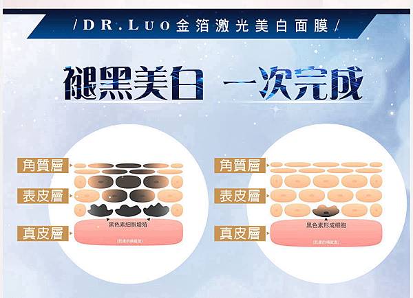 EDM11.jpg 試用