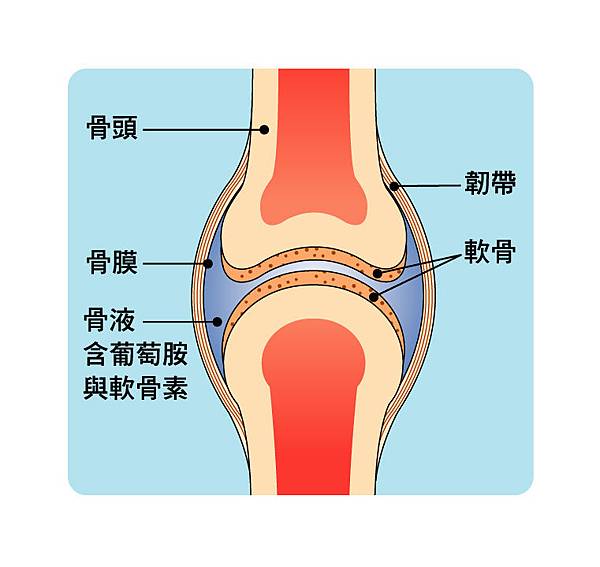 02.jpg 試用
