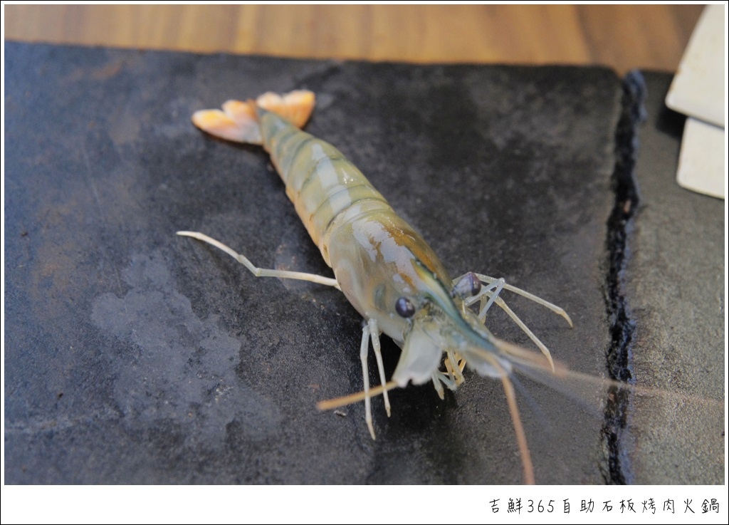 _MG_8934.JPG _MG_8934.JPG