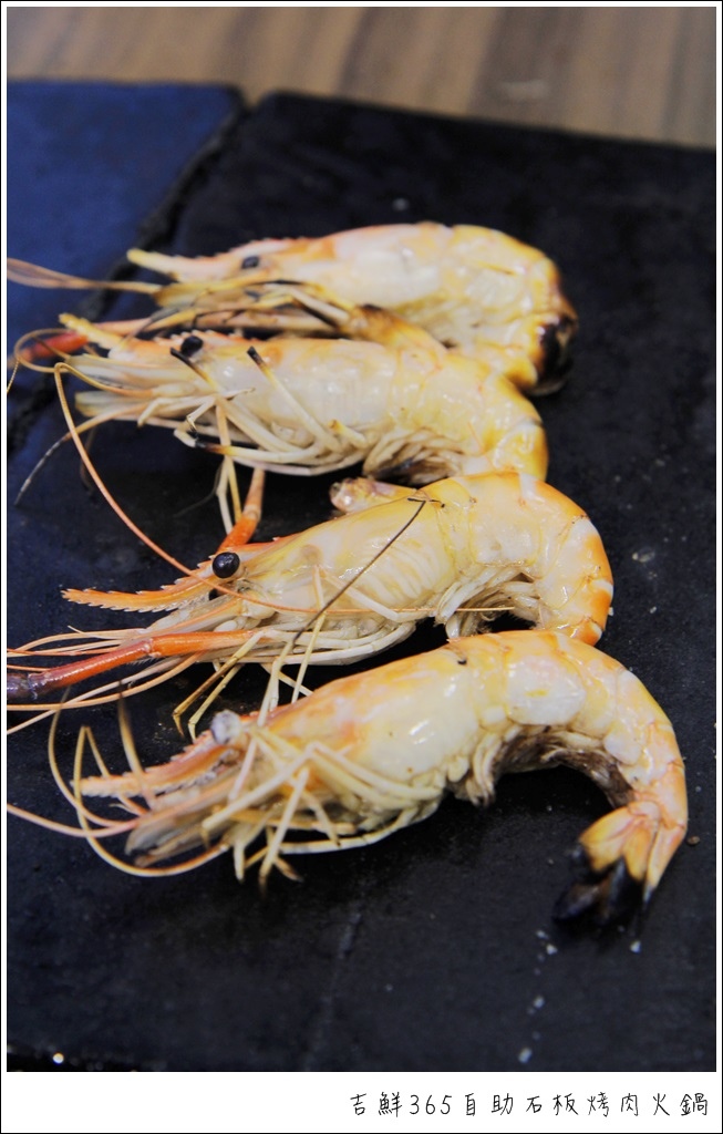 _MG_8949.JPG _MG_8949.JPG