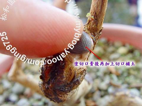 切口處理實例 3