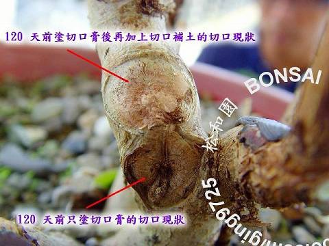 切口處理實例 6