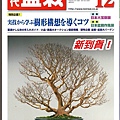 201012近盆雜誌015.jpg