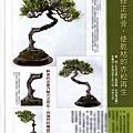 201012近盆雜誌中文-1013.jpg