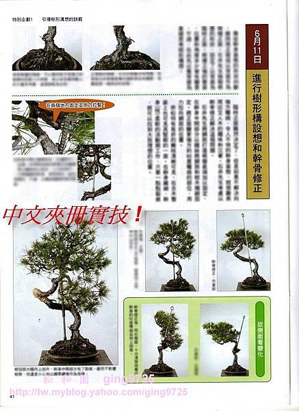 201012近盆雜誌中文-2014.jpg