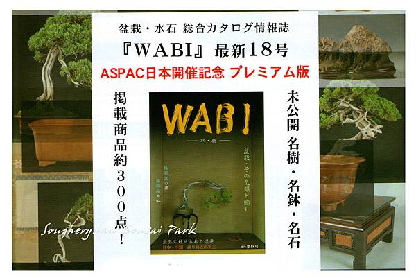 WABI No18002.jpg