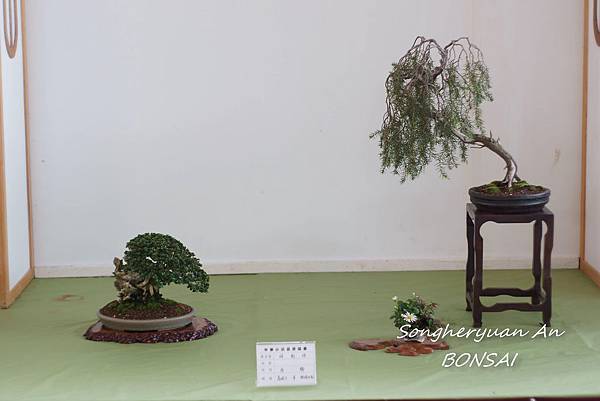 2013 雅風展 2013 雅風展