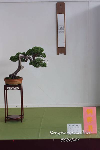 2013 雅風展