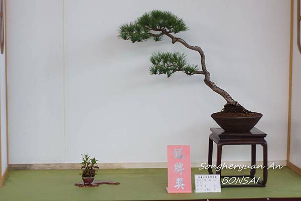 2013 雅風展 2013 雅風展