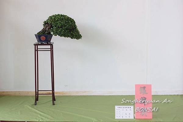 2013 雅風展 2013 雅風展