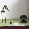 2013 雅風展