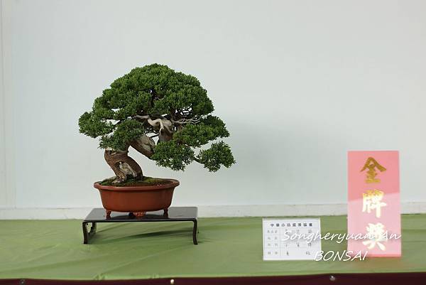 2013 雅風展 2013 雅風展