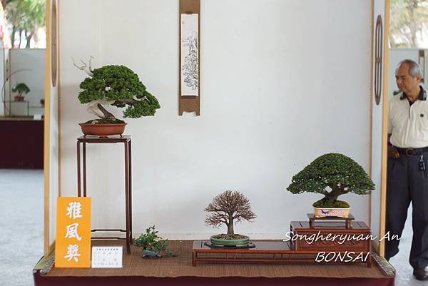 2013 雅風展