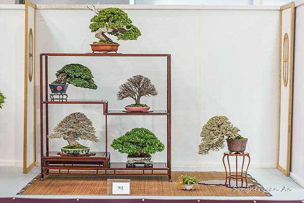 APL5-2013華風展華風獎.jpg APL5-2013華風展華風獎.jpg
