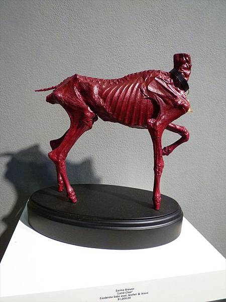 Sarina Brewer "Lamb Chop" Esodermy baby goat with leather and brass collar on lacquered custom wood base 11" x 11.5" x 5.5"