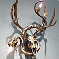 Adam Wallacavage "Antler Tentacle Skull Snake is the New Snake Skull Tentacle Antler" Taxidermy