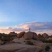 0828-29_JushuaTrees53.JPG 0828-29_JushuaTrees53.JPG