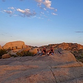 0828-29_JushuaTrees50.JPG 0828-29_JushuaTrees50.JPG