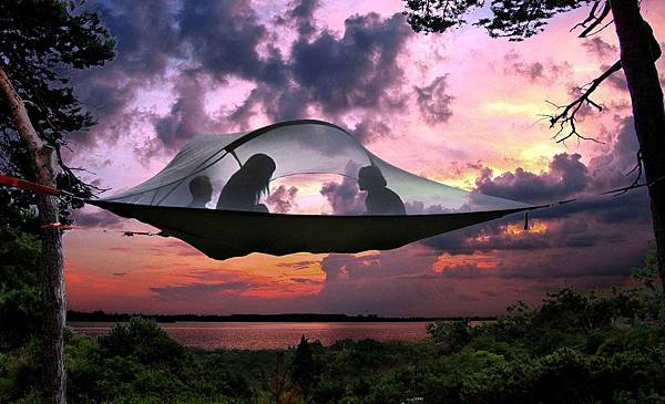 Tentsile Tree Tents.jpg