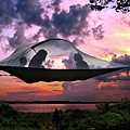 Tentsile Tree Tents.jpg