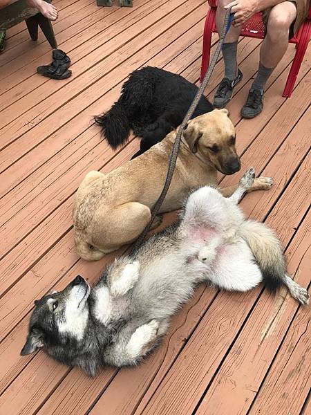 Shaman and playmates