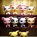 Littlest pet shop02.JPG