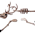 1042 Half-scale reindeer puppet from The Nightmare Before Christmas $2,000 USD.jpg