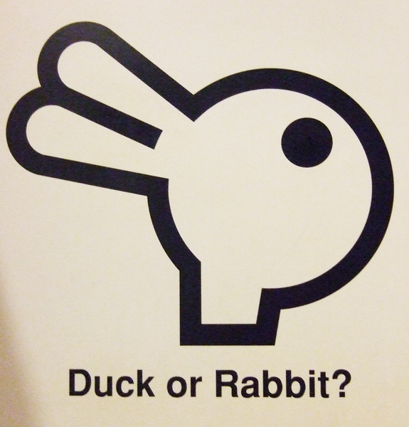 展覽中的兔子or鴨子