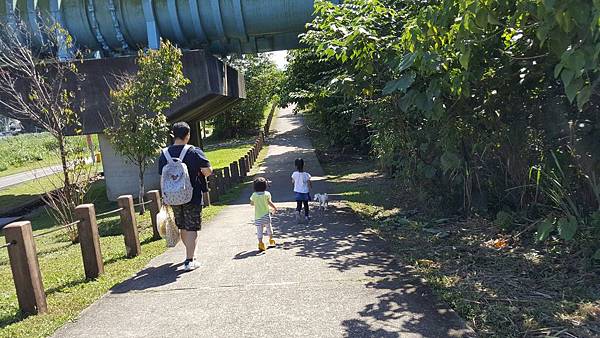 2018 年10 gin_181103_0052.jpg