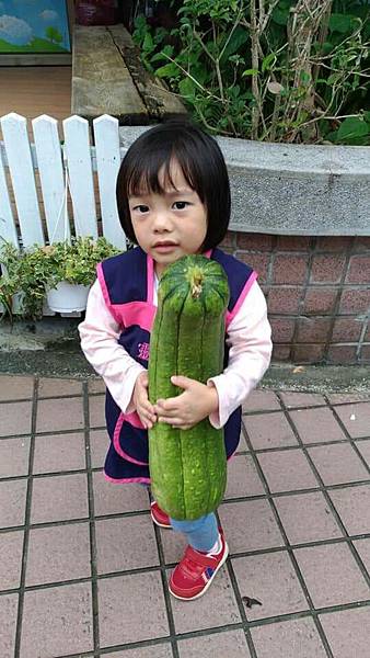 2018年11月 gin_181208_0026.jpg 2018年11月 gin_181208_0026.jpg