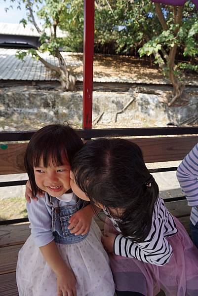 201901-台南1-2 (1).JPG 201901-台南1-2 (1).JPG