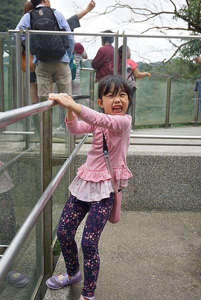 DSC08271.JPG DSC08271.JPG