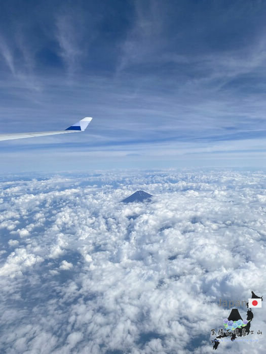 44-1IMG_6297.JPG 44-1IMG_6297.JPG