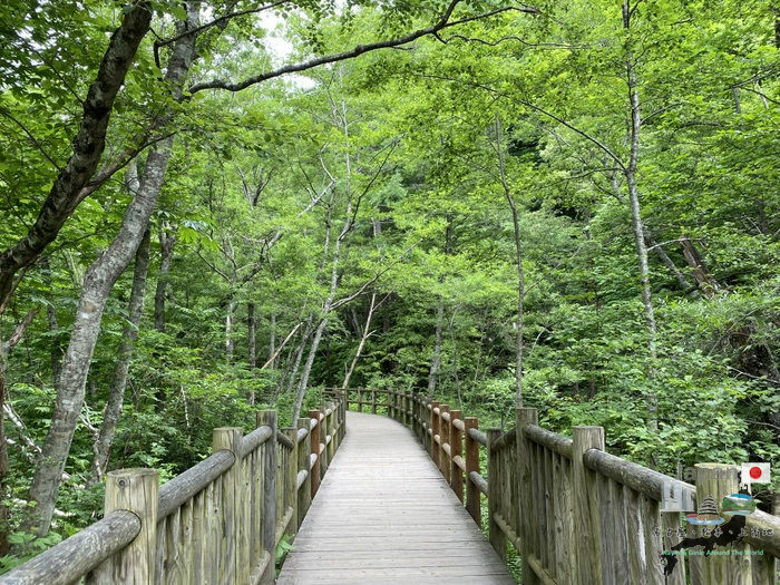 28-IMG_8449.JPG 28-IMG_8449.JPG