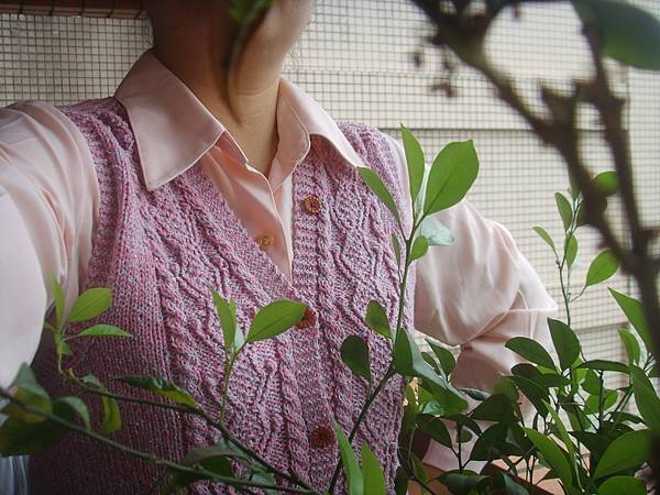 Cherry vest Cherry vest