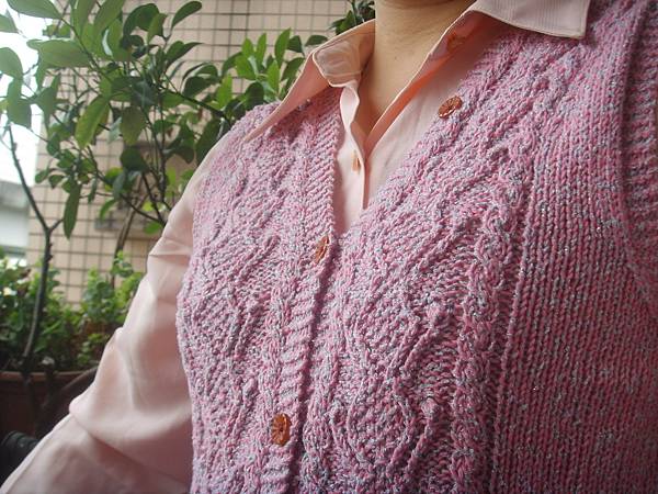 Cherry vest Cherry vest