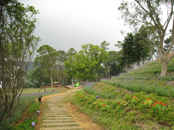 道路