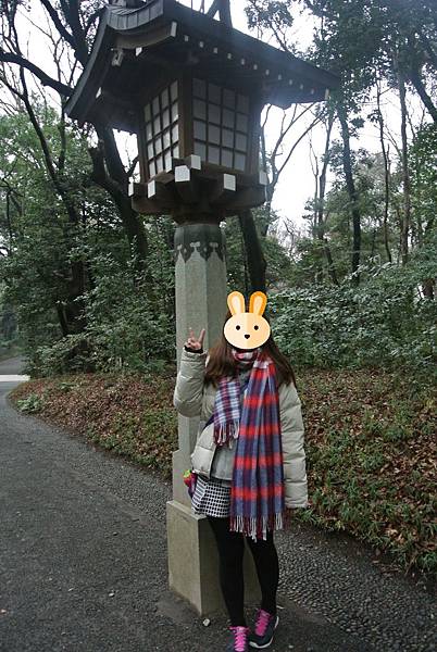 DSC_8115 n.jpg DSC_8115 n.jpg