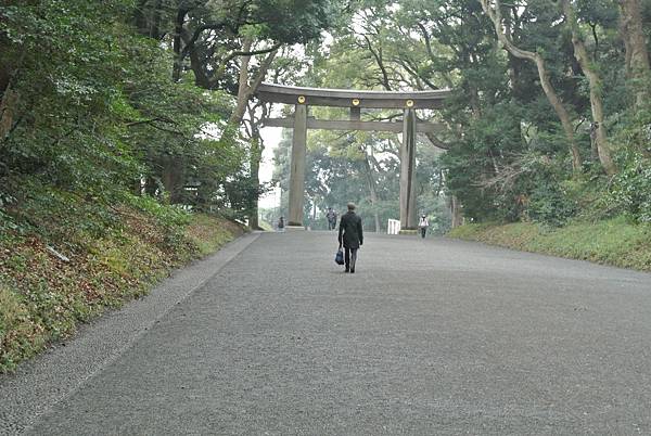 DSC_8117.JPG DSC_8117.JPG