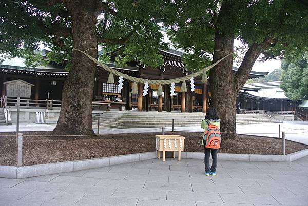 DSC_8197.JPG DSC_8197.JPG