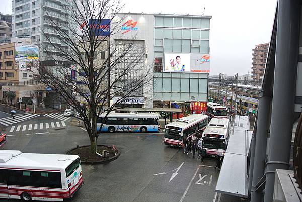 DSC_8295.JPG DSC_8295.JPG