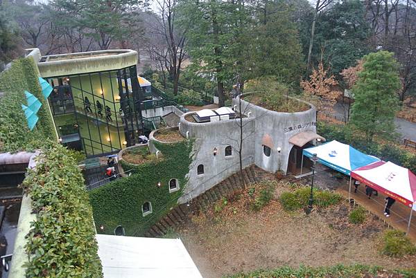 DSC_8350.JPG DSC_8350.JPG