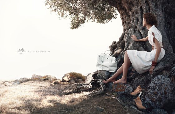 479217_351546108216666_104907696213843_889603_1386600592_o