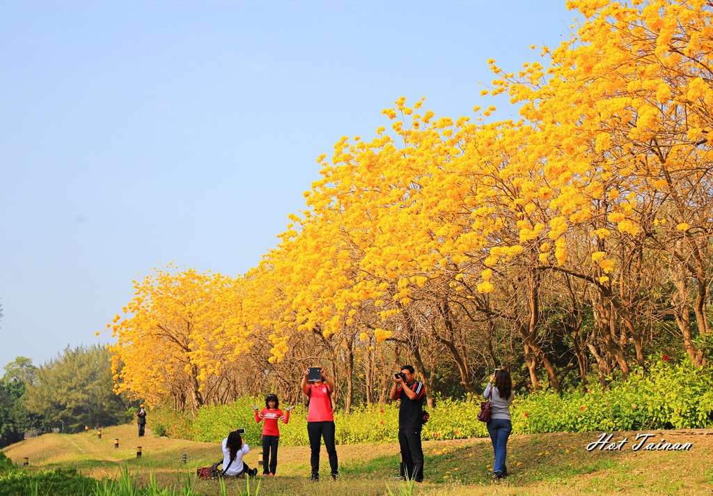 IMG_9568.JPG IMG_9568.JPG