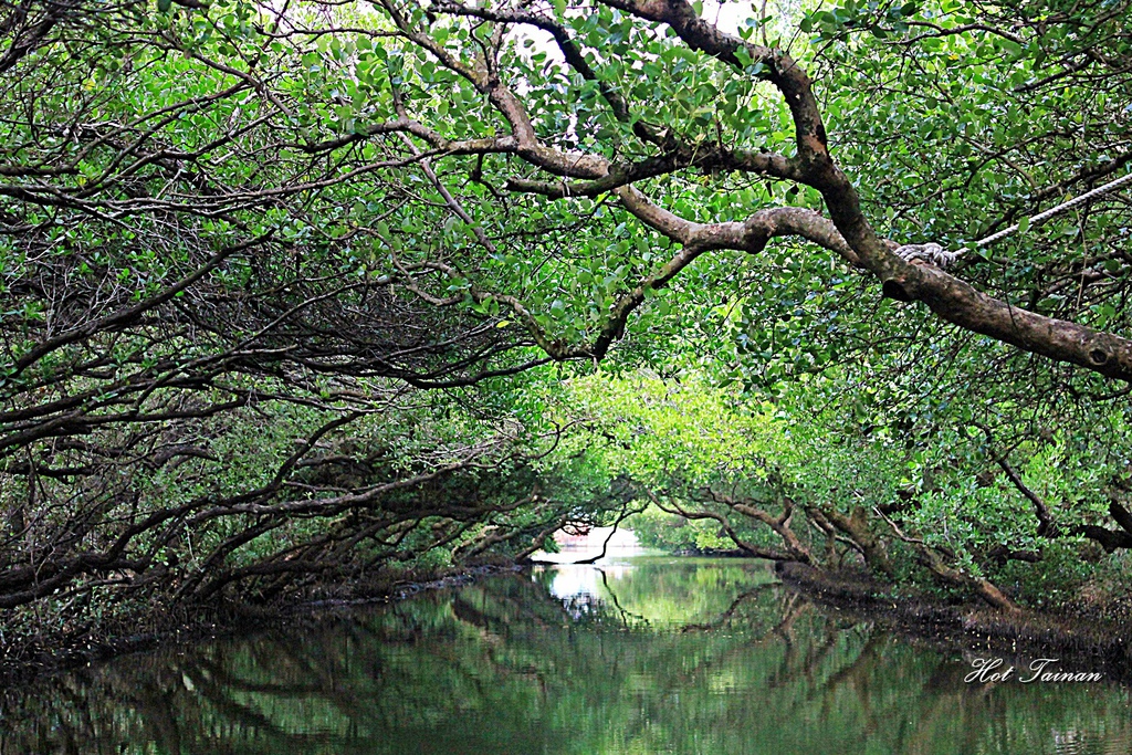 IMG_9602.JPG IMG_9602.JPG