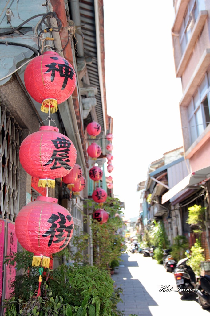 IMG_8484.JPG IMG_8484.JPG