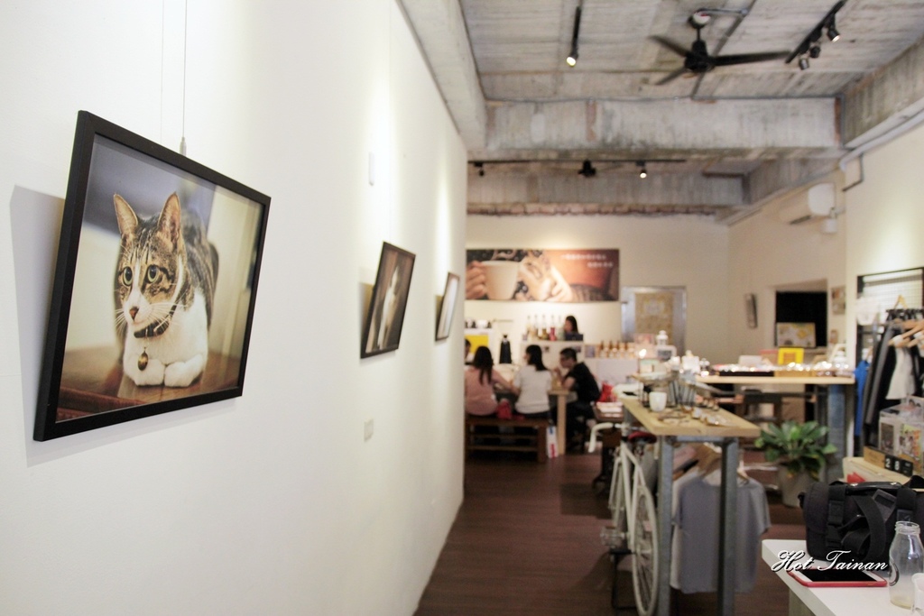 IMG_8565.JPG IMG_8565.JPG