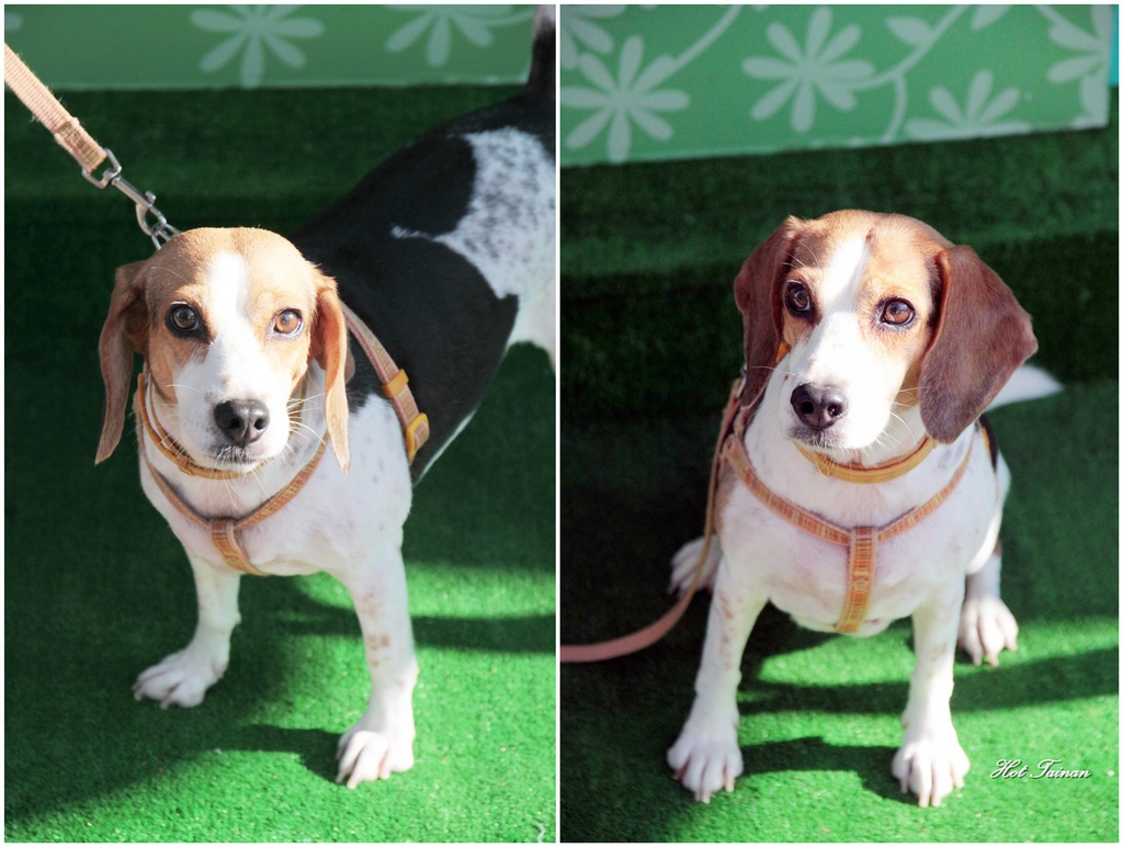 3342526.jpg 3342526.jpg