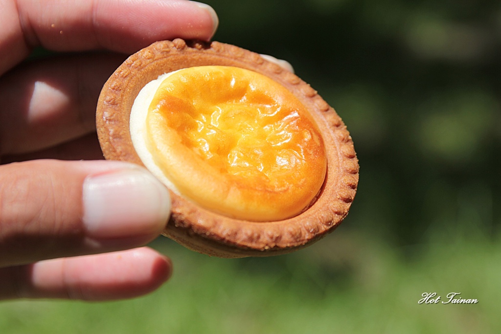 IMG_7332.JPG IMG_7332.JPG